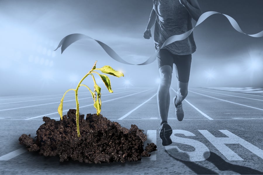 Dying sapling next to a person crossing the finish line