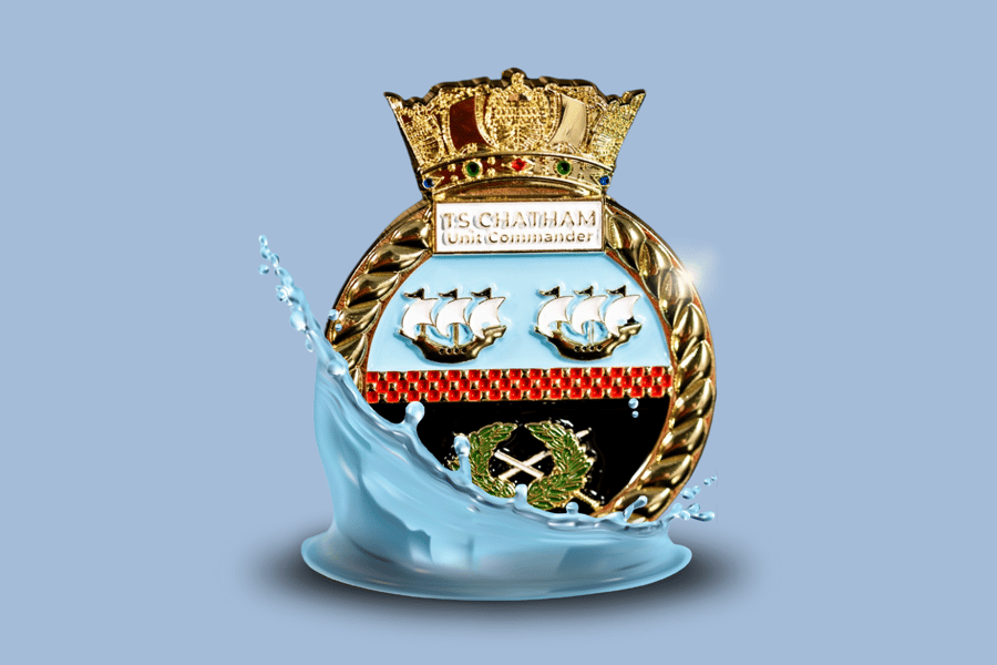 Picture of a Royal New Zealand Navy challenge coin surrounded by water.