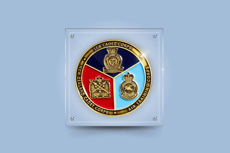 Picture of a challenge coin in a floating display.