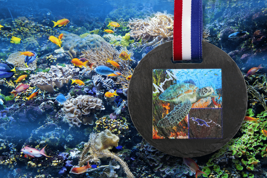 A picture of a slate medal with a turtle custom printed on its face.