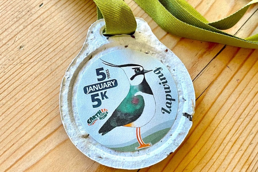 A photograph of a medal made from newspaper pulp and wildflower seeds.